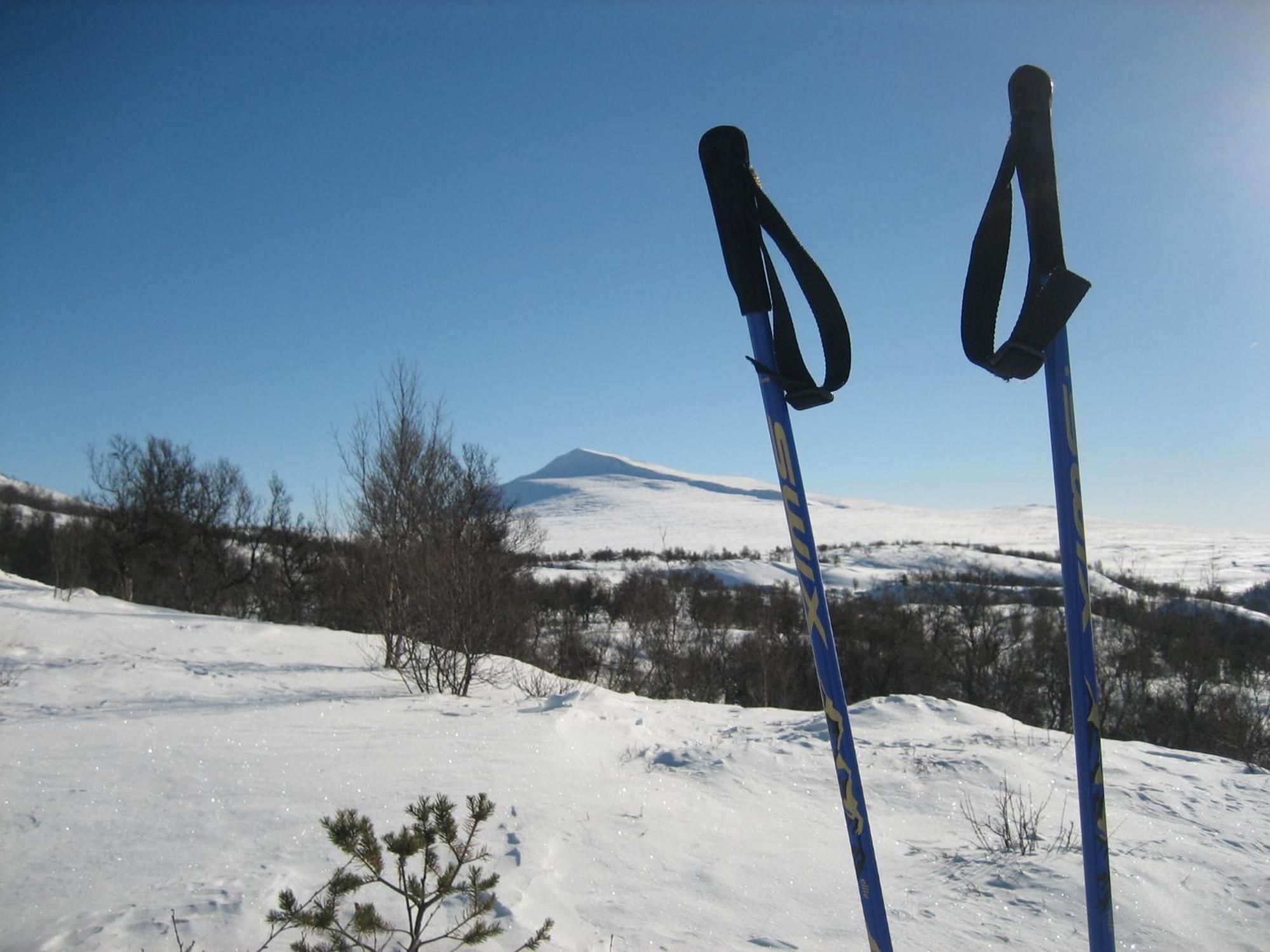 Hovringen Fjellstue Hotel Exterior photo
